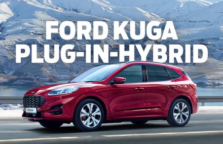 kuga_plugin_hybrid_image